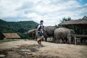 BIB: 
                            <button type="button" onclick="openModal(22423438)" class="btn btn-primary btn-sm float-right btn-popup" data-toggle="modal" data-target=".modal-high-quality">
                        <i class="fas fa-shopping-cart"></i> Add to Cart
                    </button>
                                            <button type="button" onclick="isThisMe(22423438, true)" class="btn btn-success btn-sm float-right btn-popup btn-isme hidden" data-toggle="tooltip" data-placement="bottom" title="นี่คือรูปของคุณใช่ไหม คลิกที่นี่เพื่อเอาเข้าอัลบั้ม">
                        <i class="fas fa-plus"></i> Add to album
                    </button>
                    <button type="button" onclick="isThisMe(22423438, false)" class="btn btn-warning btn-sm float-right btn-popup btn-isnotme hidden">
                        <i class="fas fa-ban"></i> Remove from album
                    </button>